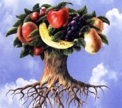 The Grace Imposter Addresses Part 27: Getting to the Root of the Fruit