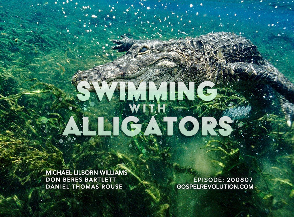 200807 Swimming With Alligators
