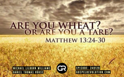 240126 Are You Wheat or Are You A Tare?