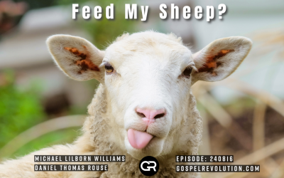 240816 Feed My Sheep?