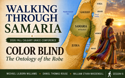 261016 Color Blind – The Ontology of the Robe